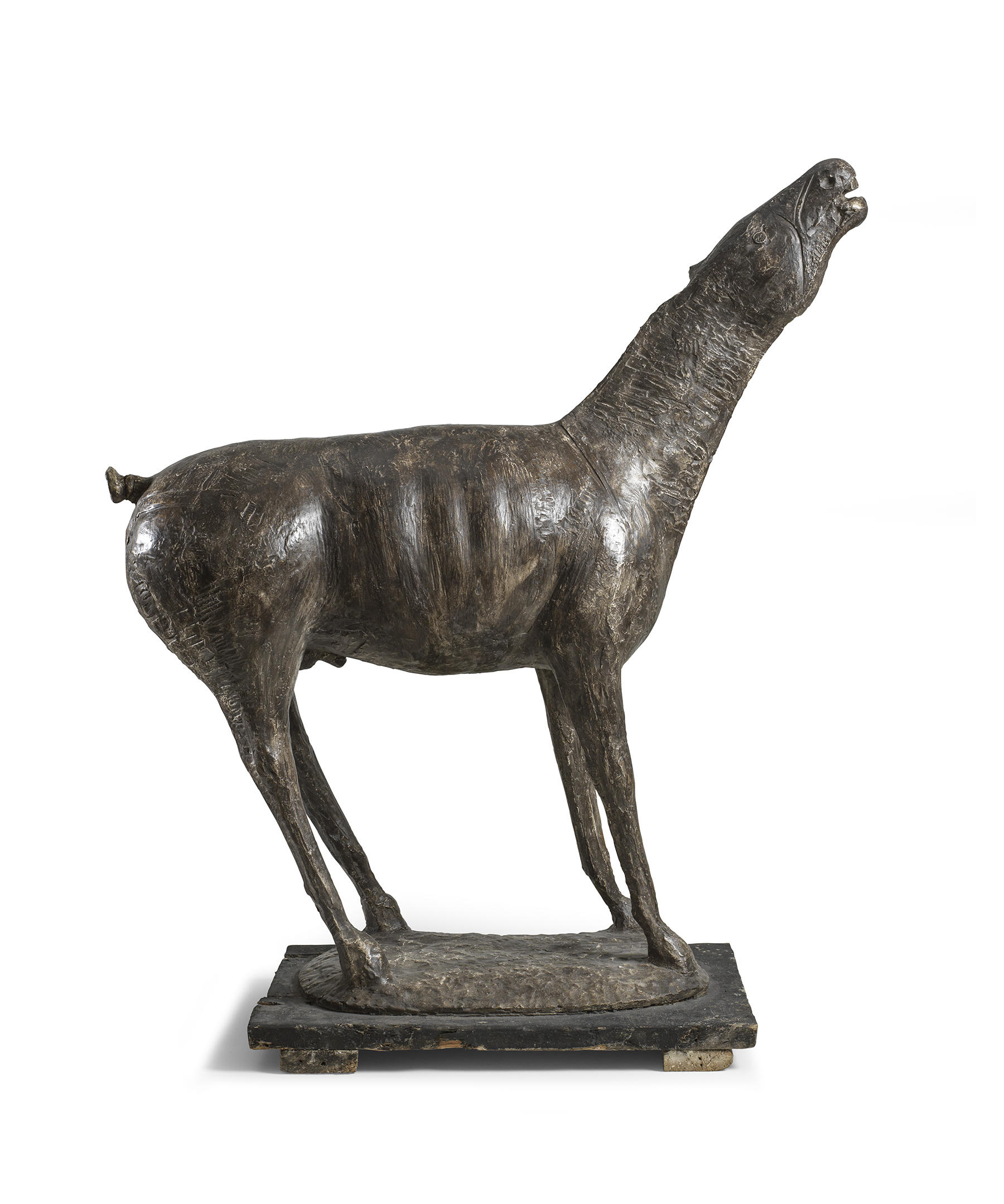 Cavallo (Horse)